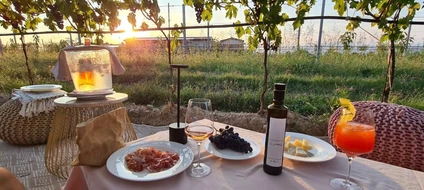 Picnic d'Autore in vigneto: l'Essenza del Lago di Garda a Lazise 11